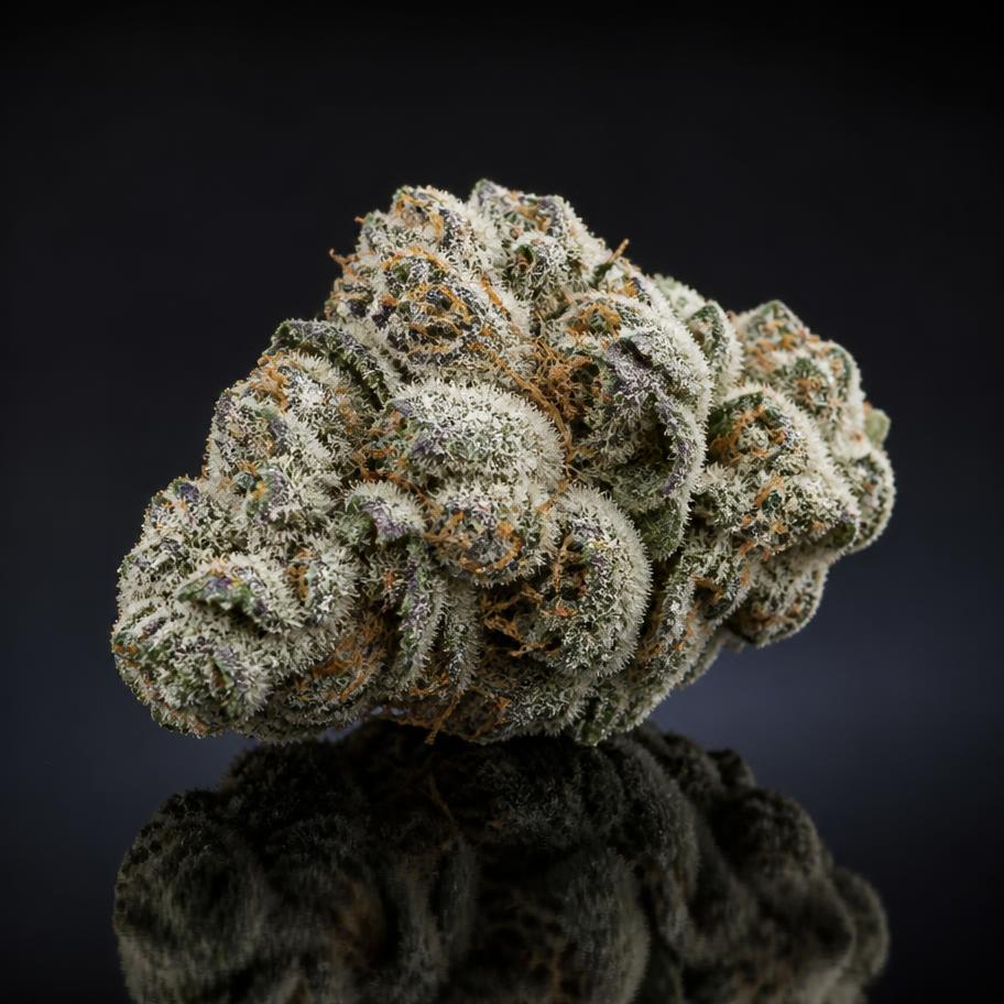 Frosty white trichome-covered cannabis bud