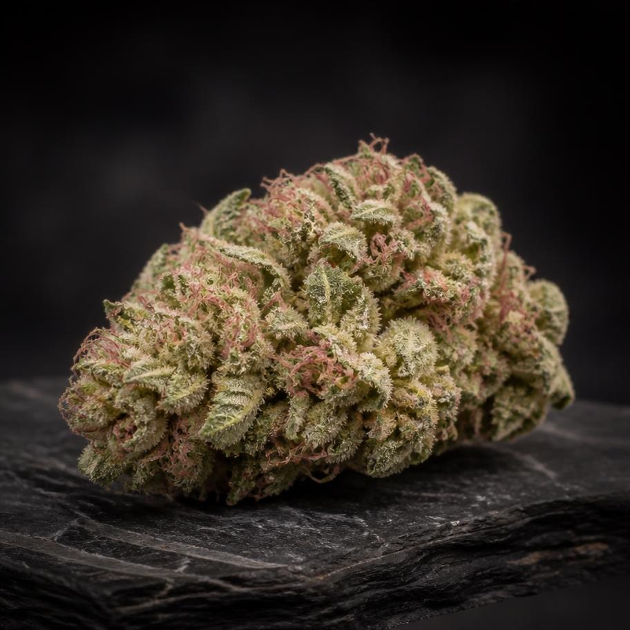 Pale green cannabis bud with pink hairs